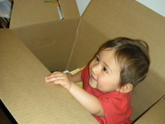 Leena in box