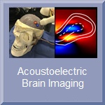Acoustoelectric Imaging