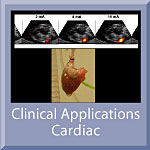 Clinical Applications Cardiac