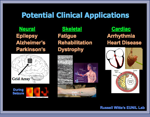 Clinical Applications: Slide 1