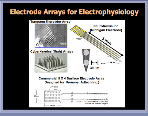 Electrode Array Imaging Slide 1