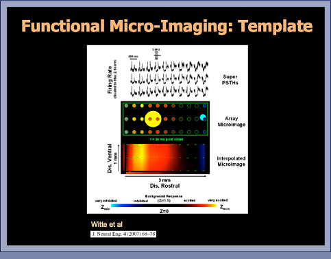 Electrode Array Imaging Slide 3