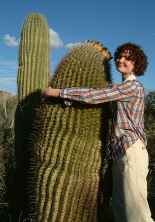 a big cactus and no squirrels