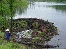 Alex Carroll goes in for a closer look at the collapsed beaver lodge on the Namekagon River, Wisconsin