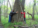 Calvin Grinnell and Wendi Field Murray embrace a stately cottonwood at Cross Ranch State Park